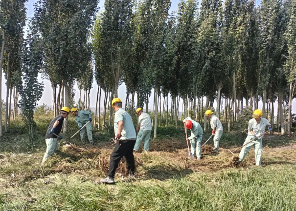 QQ截圖20230919205403.png